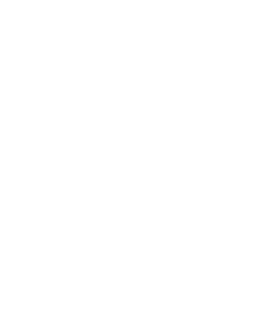 Trust Johnson Law geometric lion